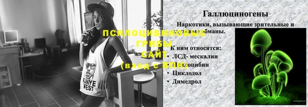 мдпв Пересвет