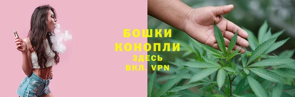 мдпв Пересвет