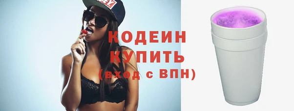 мдпв Пересвет